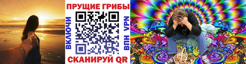 Галлюциногенные грибы Cubensis  Купить закладки  Советск 